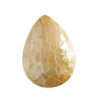 Muschel Cabochon